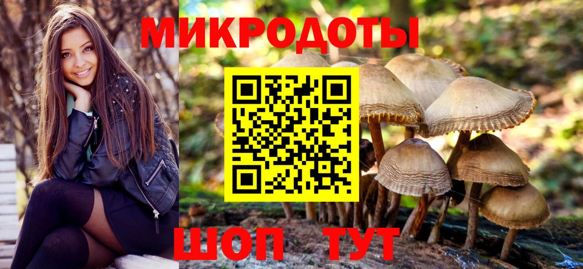 Кандалакша  Псилоцибиновые грибы Cubensis  Вход с VPN 