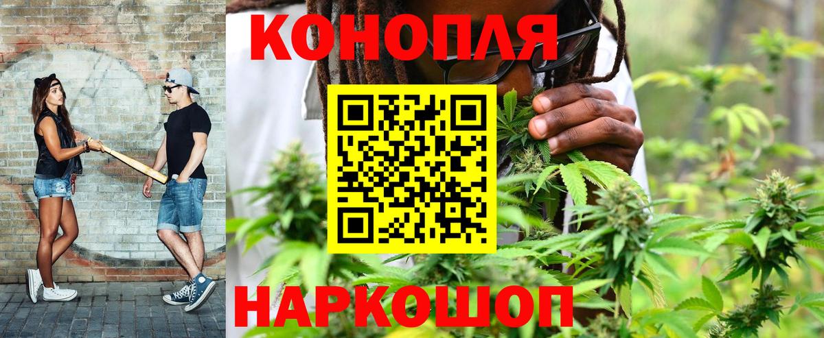 Шишки марихуана план  Шишки марихуана Bruce Banner  Конопля White Widow  Кандалакша  Вход с VPN 